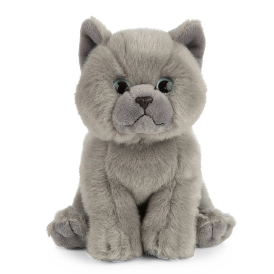 AN447 British Grey Shorthair Kitten 16cm