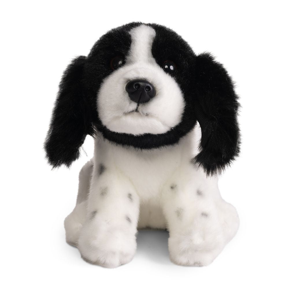 AN814 Living Nature Springer Spaniel