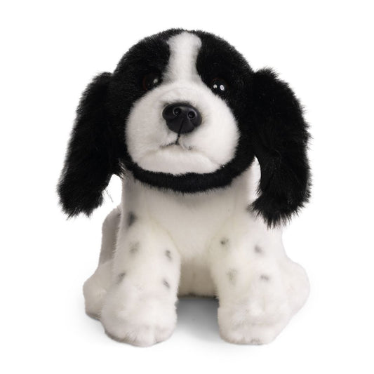 AN814 Living Nature Springer Spaniel