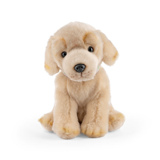 AN661 Golden Lab Puppy with Sound 24cm