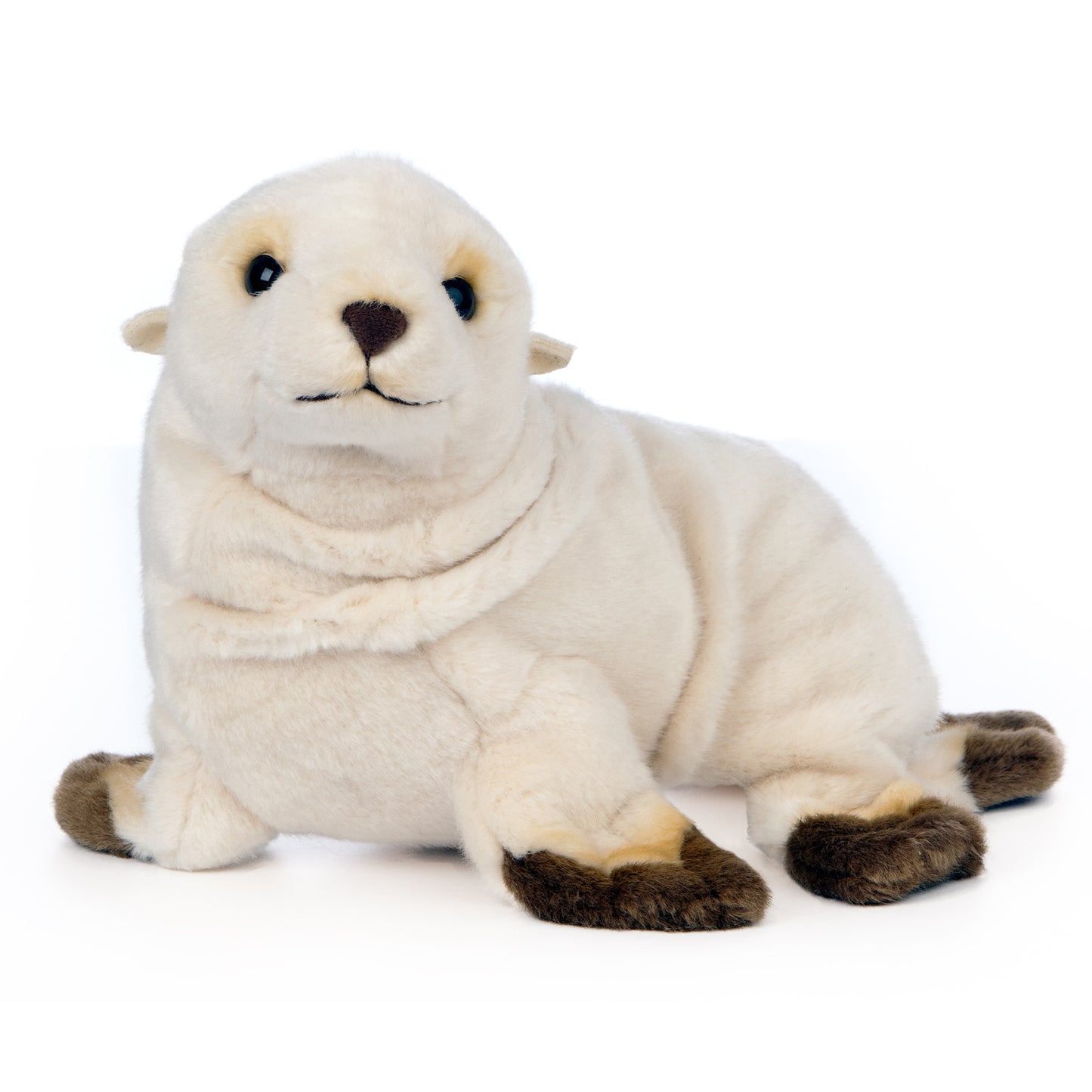 AN566 Sealion Pup 28cm