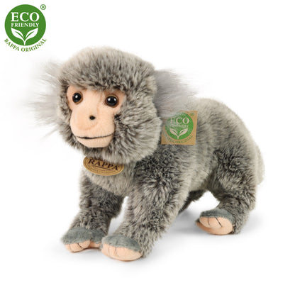 Plush marmoset 25 cm