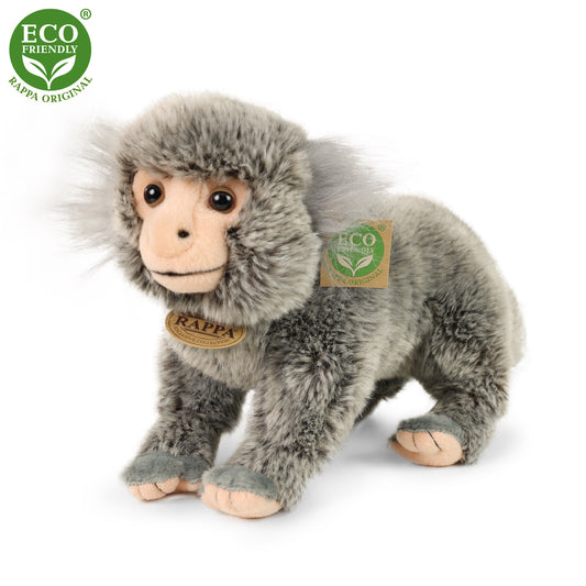 Plush marmoset 25 cm