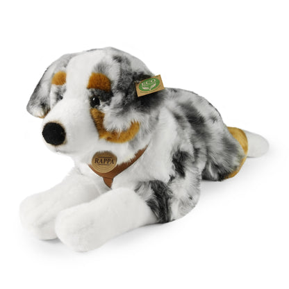 Plush Australian Shepherd with harness 61cm