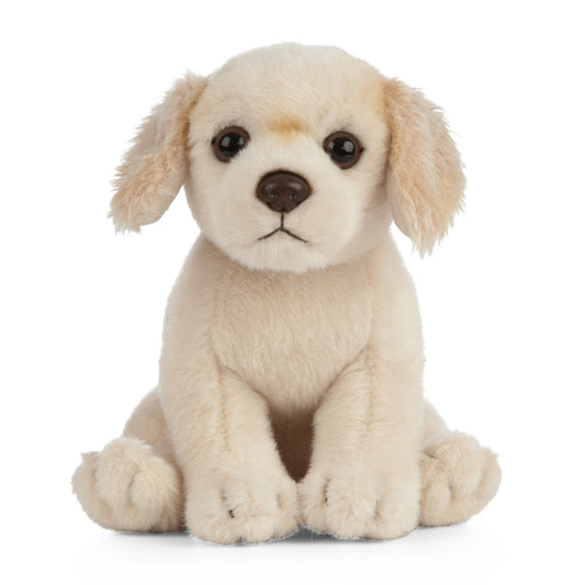 AN433 Golden Retriever Puppy 16cm
