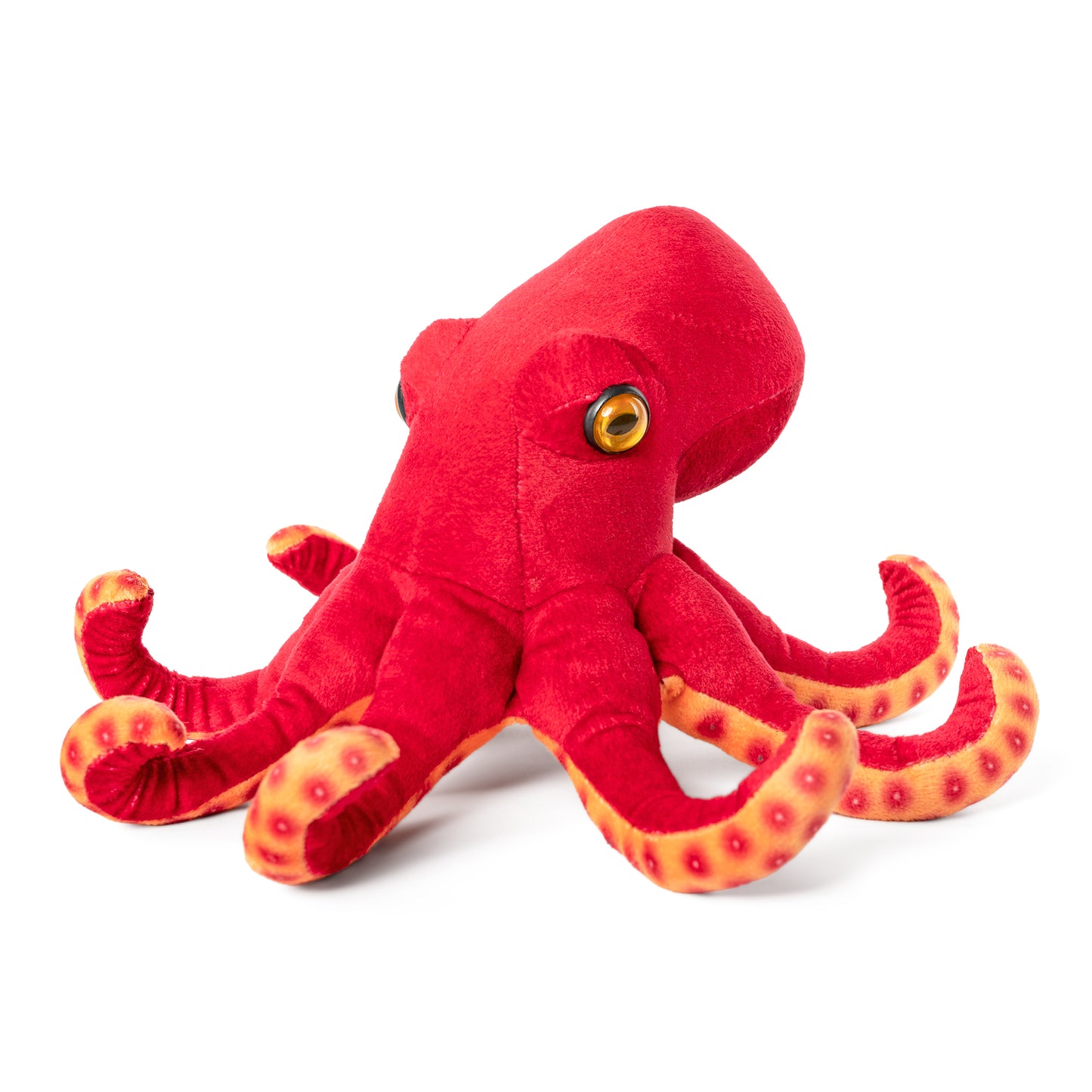 AN718 Common Octopus 24cm