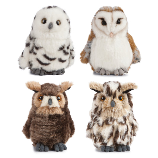 AN406 Owls Assorted 13cm