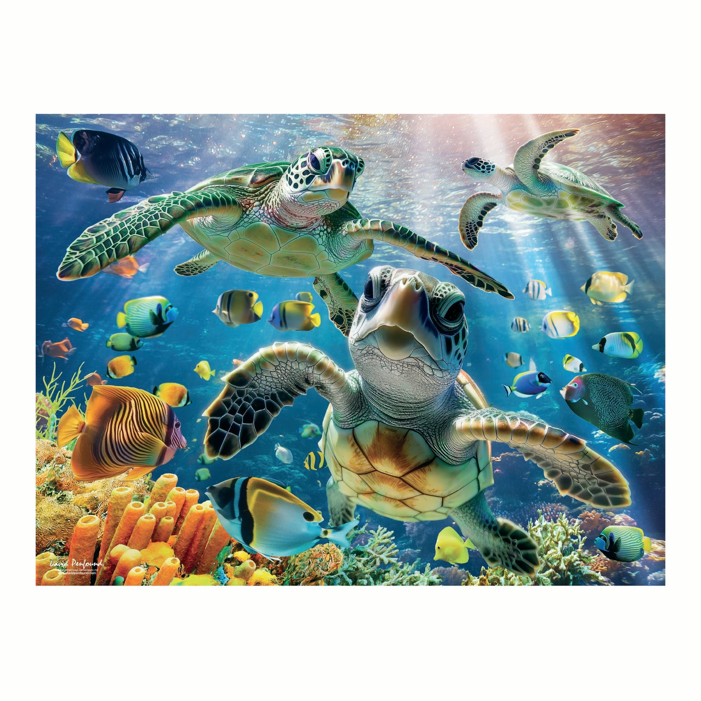 3D LiveLife Pictures - Sea Turtle Trio