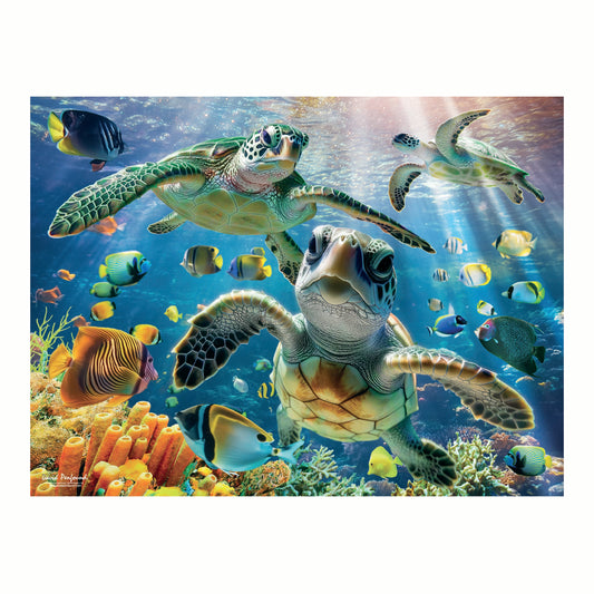 3D LiveLife Pictures - Sea Turtle Trio