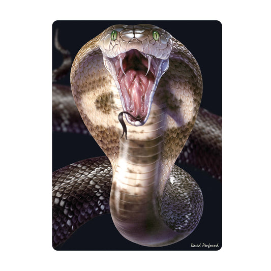 3D LiveLife Postcards - Cobra