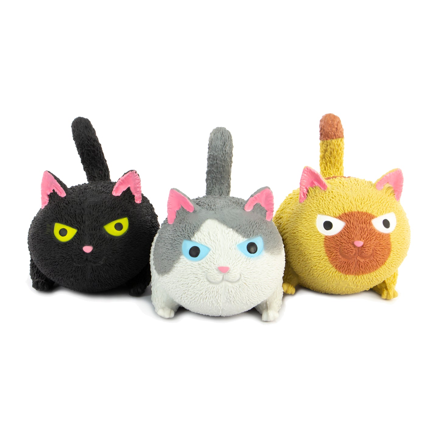 NV456 Squidgy Cat