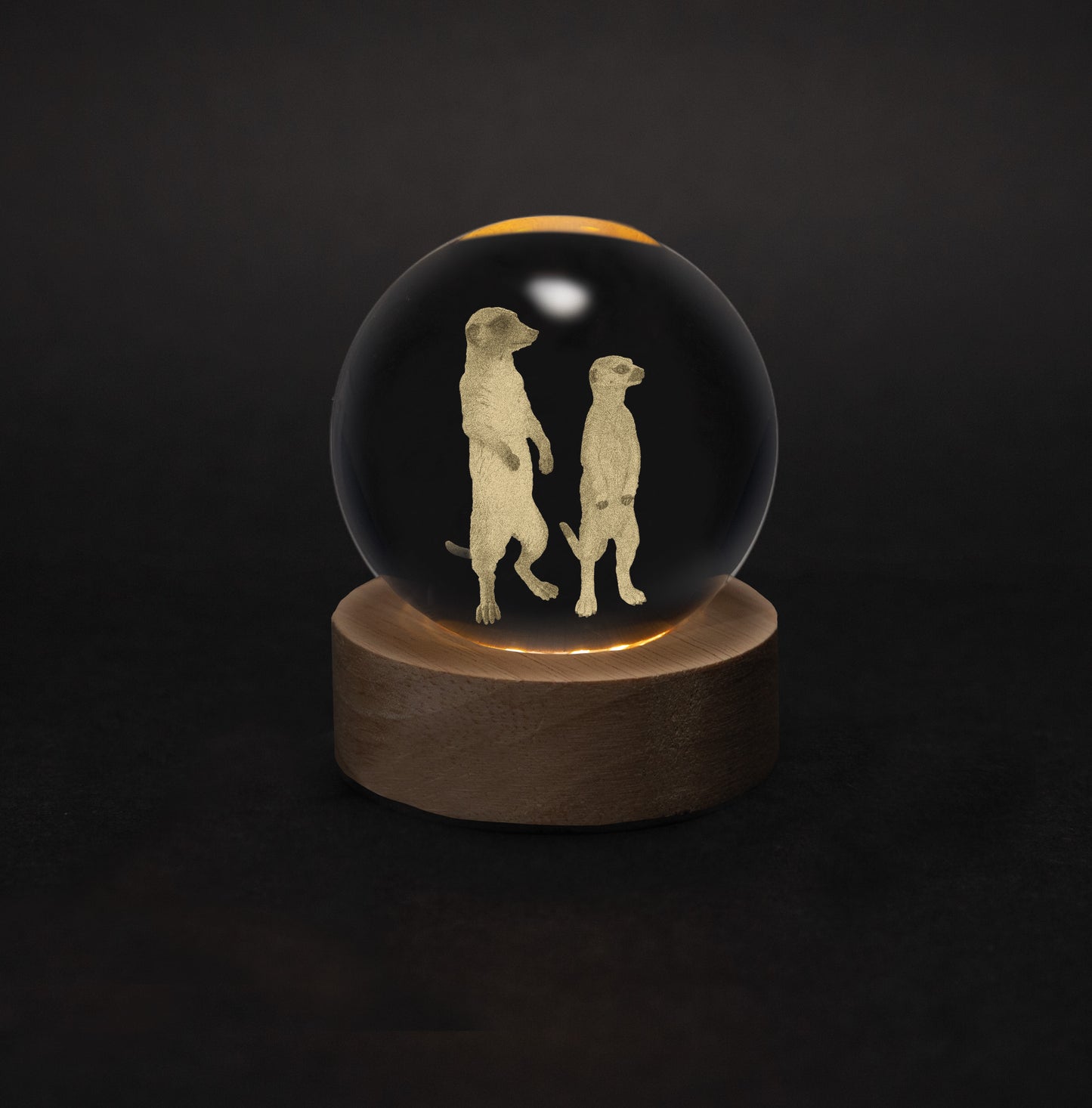 Crystal Silhouettes Globes - Meerkats