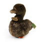 Plush duck 23 cm