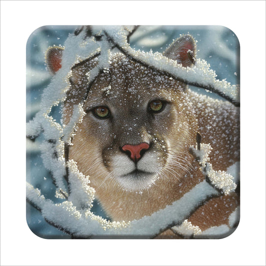 3D LiveLife Coasters - Silent encounter