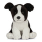 AN444 Border Collie Puppy 16cm
