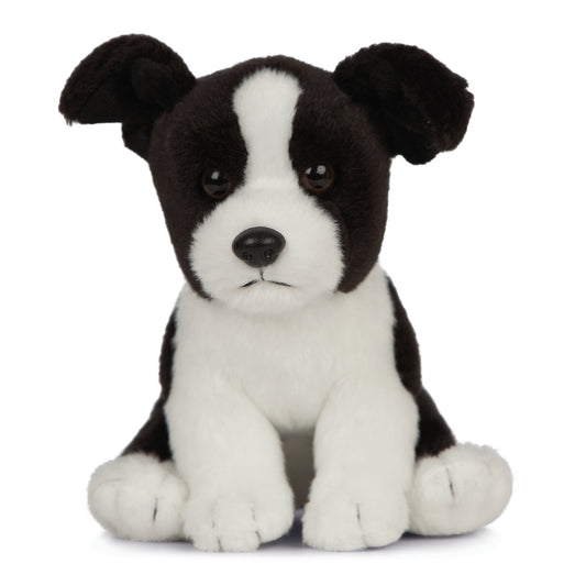 AN444 Border Collie Puppy 16cm