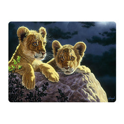 3D LiveLife Postcards - The Light Of Home
