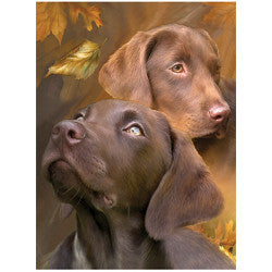 3D LiveLife Pictures - Chocolate Labradors