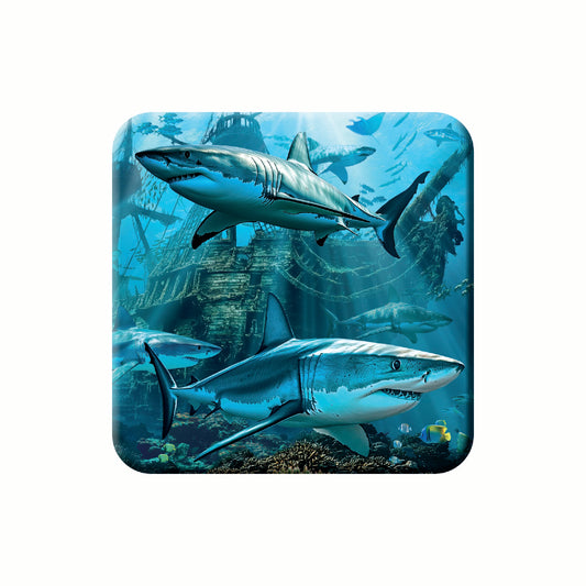 3D LiveLife Notebooks - Shark Wreck