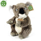 Plush koala 22 cm