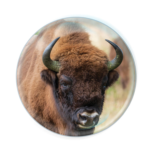 Magnidomes - Bison