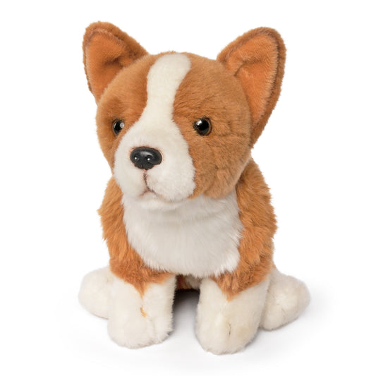 AN640 Corgi 20cm