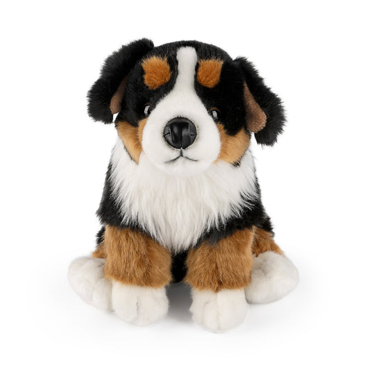 AN674 Bernese Mountain Dog 20cm