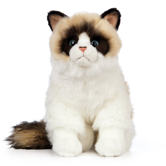 AN567 Ragdoll Cat 25cm