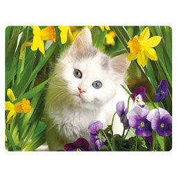 3D LiveLife Postcards - Cat