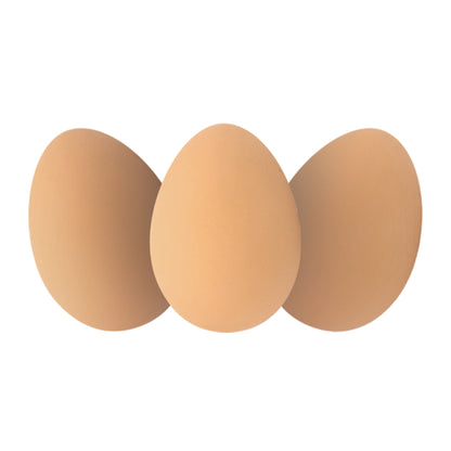 GL34 Egg Jetballs in Display Box