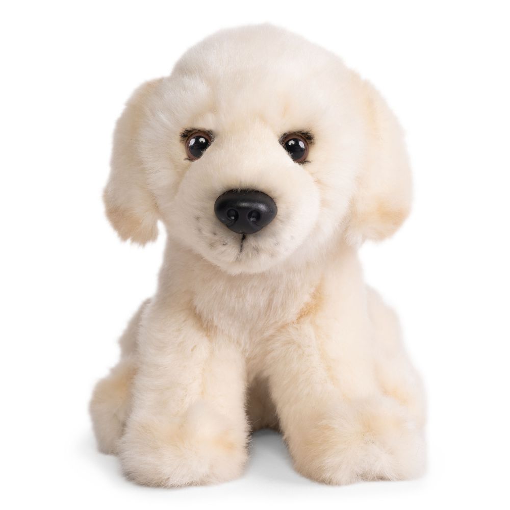 AN809 Living Nature Golden Lab Puppy