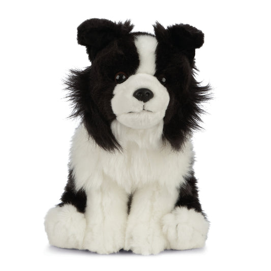 AN460 Border Collie 20cm
