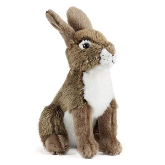 AN240 Hare 30cm