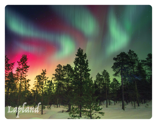 Northern lights forest 3D magnet LAP