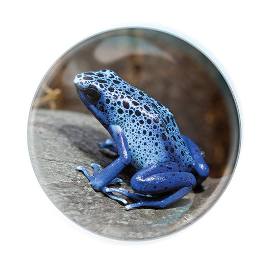 Magnidomes - Poisoned Dart Frog