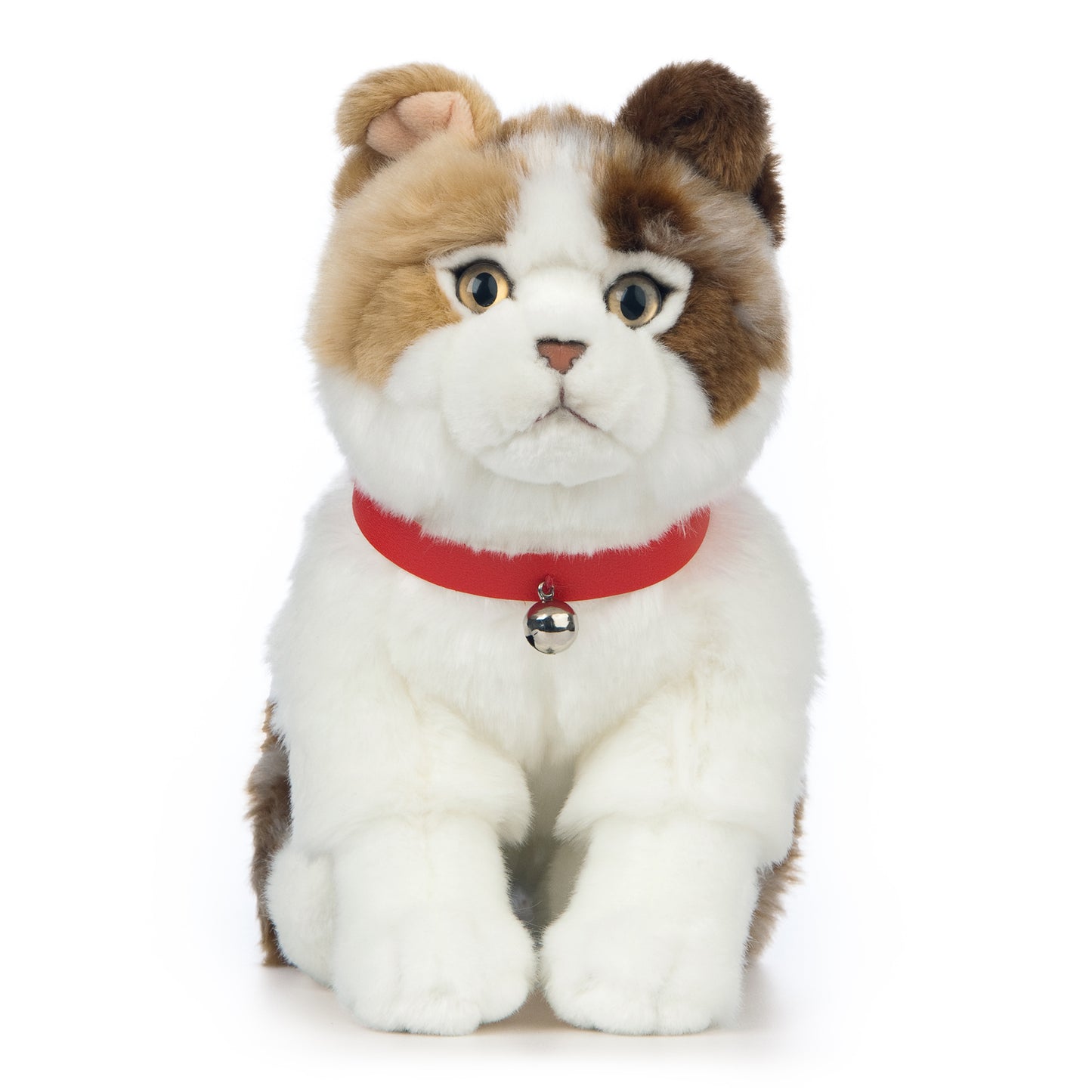 AN568 Scottish Fold Cat 25cm
