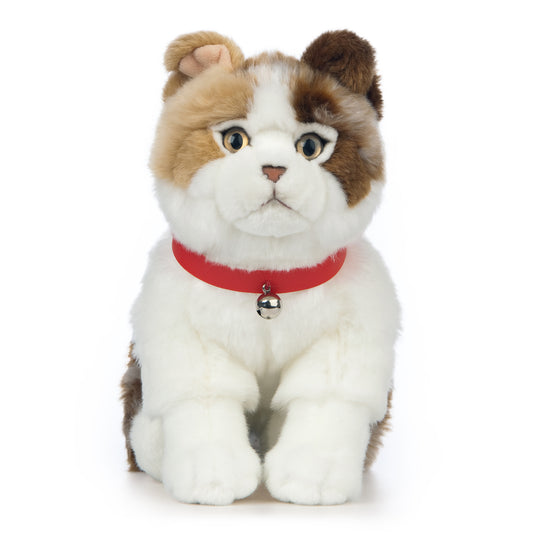 AN568 Scottish Fold Cat 25cm