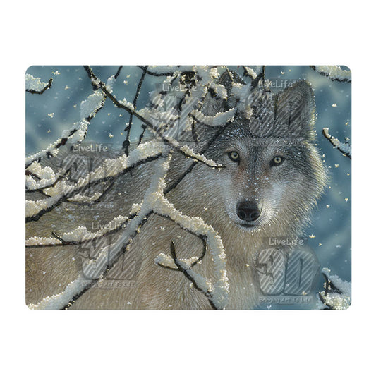 3D LiveLife Postcards - Broken Silence