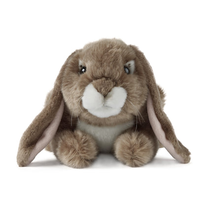 AN40B Brown Lop Eared Rabbit 24cm