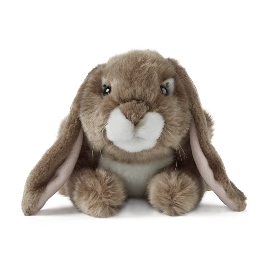 AN40B Brown Lop Eared Rabbit 24cm