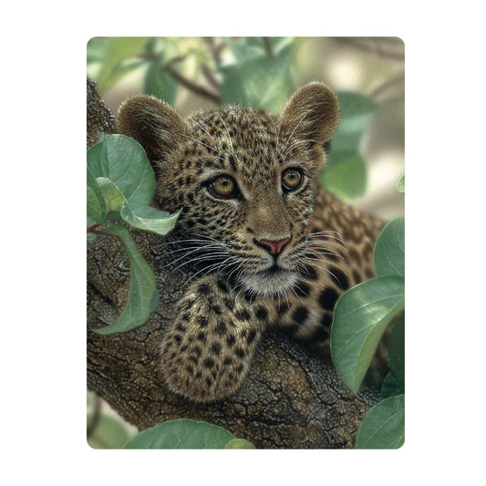 3D LiveLife Postcards - Tree Hugger