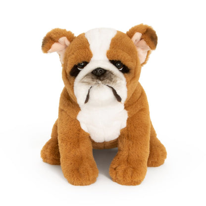 AN823-SS Super Soft English Bulldog 20cm