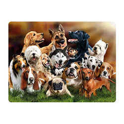 3D LiveLife Postcards - Dog Pile