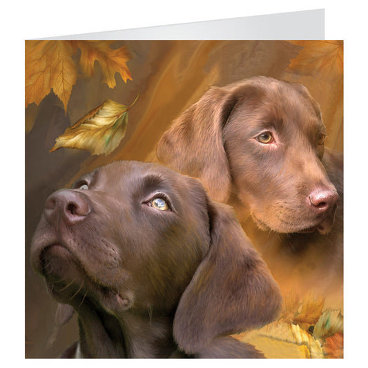 3D LiveLife Greetings Cards - Chocolate Labradors