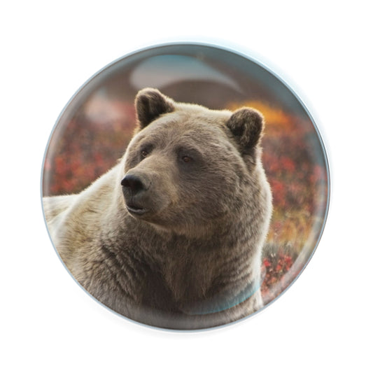 Magnidomes - Grizzly Bear