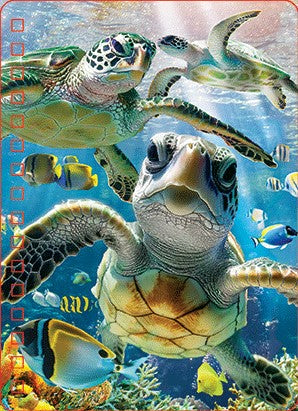 3D LiveLife Jotters - Sea Turtle Trio