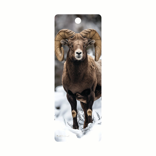 3D LiveLife Bookmarks - Bighorn Sheep