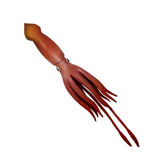 Rep Pals - Squid