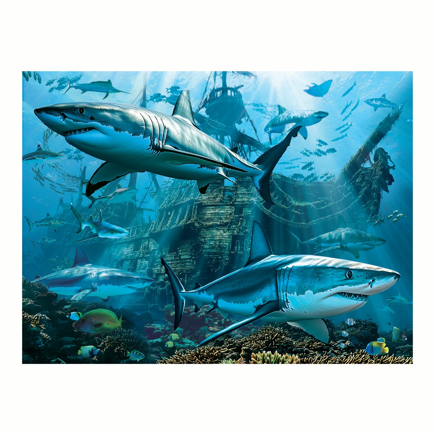3D LiveLife Pictures - Sharks Wreck