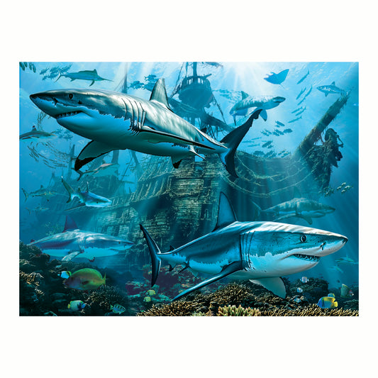 3D LiveLife Pictures - Sharks Wreck